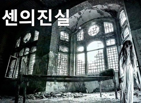 센의 진실