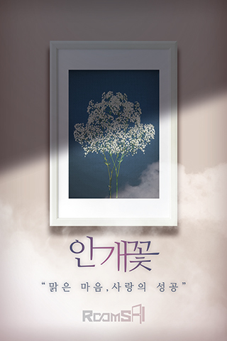 안개꽃