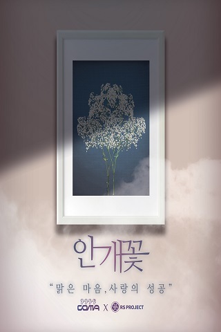 안개꽃