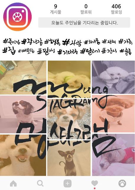 멍스타그램